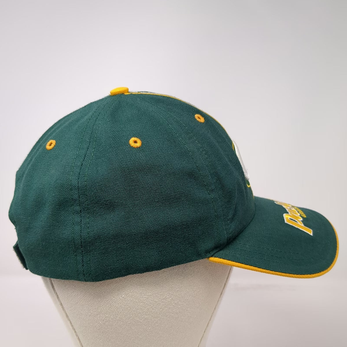Green Bay Packers NFL Twins Enterprise Green One Size Stripe Strapback Cap Hat