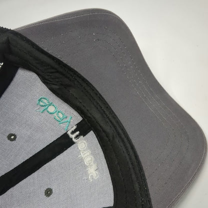Cap America Trucker Hat Gray One Size eBay Motors Mesh Snapback Automotive Logo