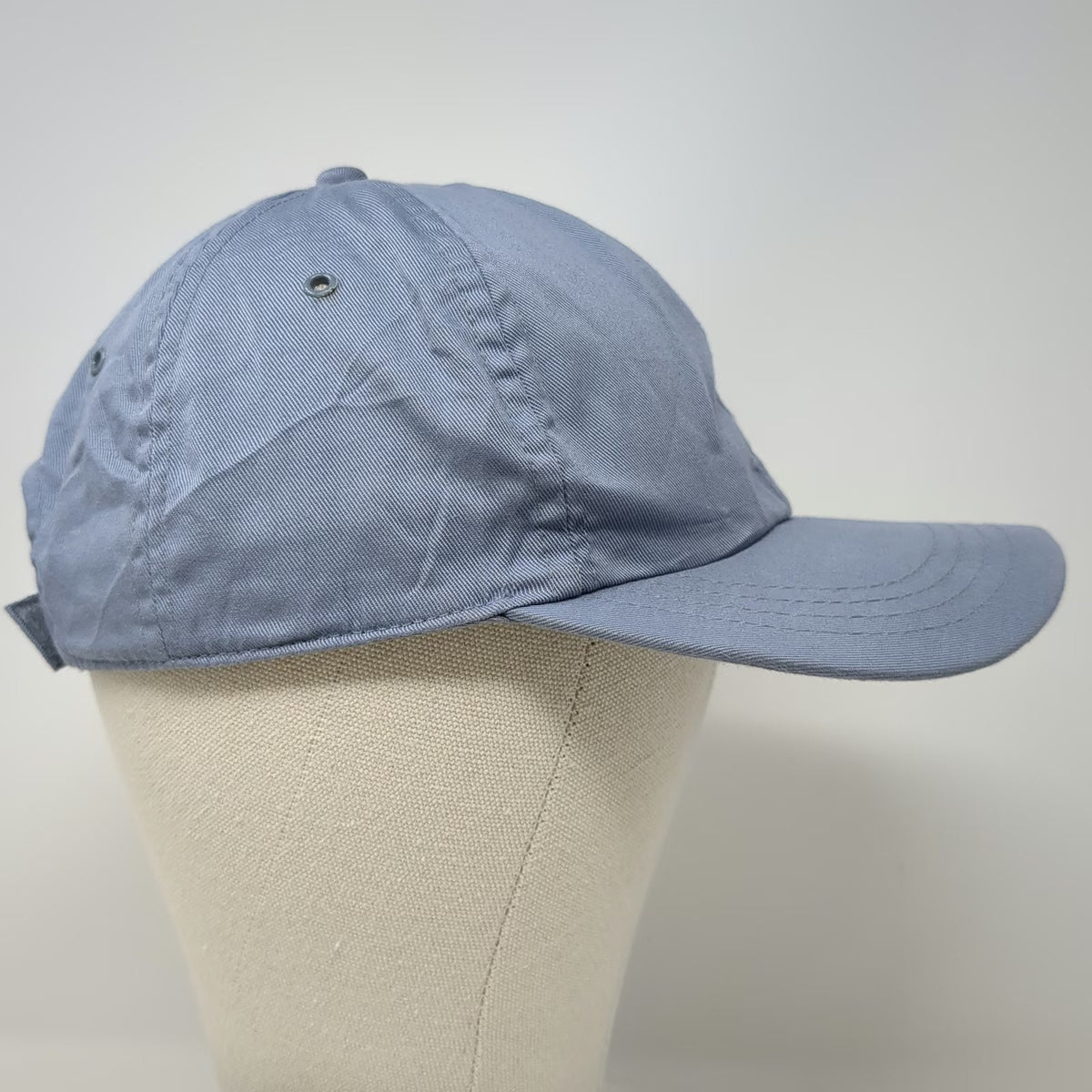 Disney Winnie the Pooh Friendly Flowers Blue Hat One Size Baseball Cap Strapback