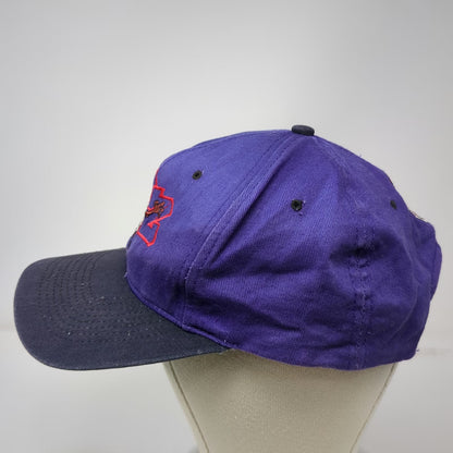 Purple Snapback Hat Tasmanian Devil Taz Character Green Underbrim Vintage