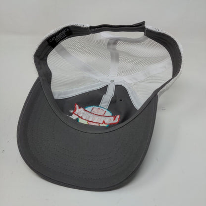 Cap America Men's Strapback Mesh Back Hat Gray White Hoosier Lottery Embroidered