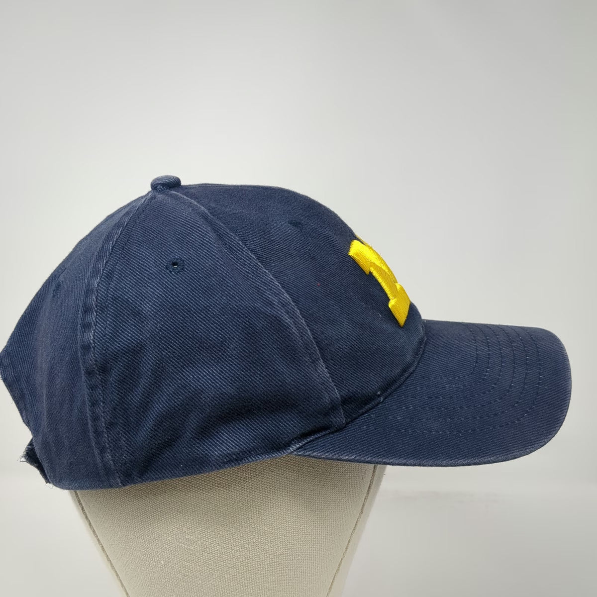 Michigan Wolverines NCAA HMI Blue One Size Cap Hat Strapback Embroidered Cotton