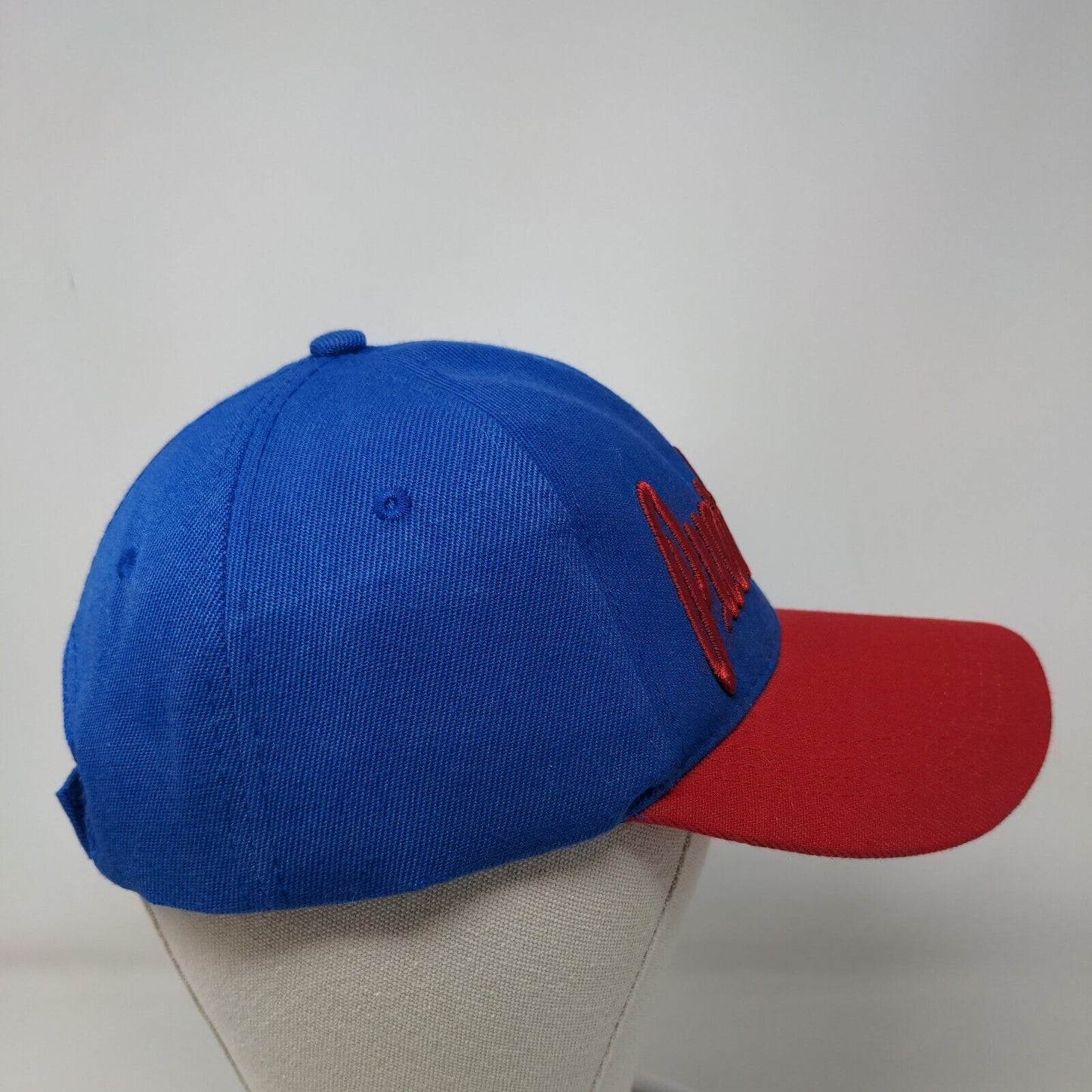 Puerto Rico Strapback Hat Multi One Size Embroidered 6 Panel Colorblock