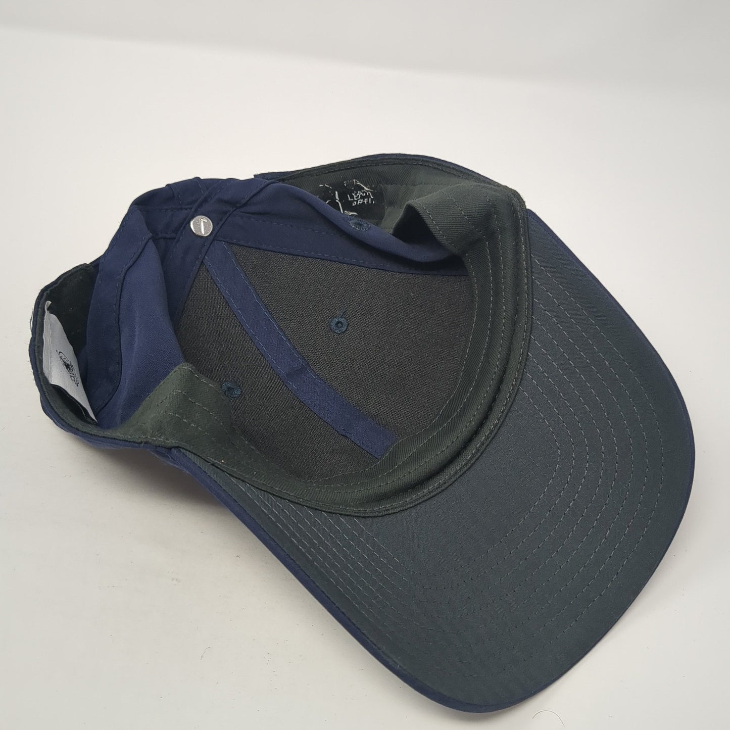 Walt Disney World 50th Anniversary Baseball Cap Blue One Size Adjustable Nike