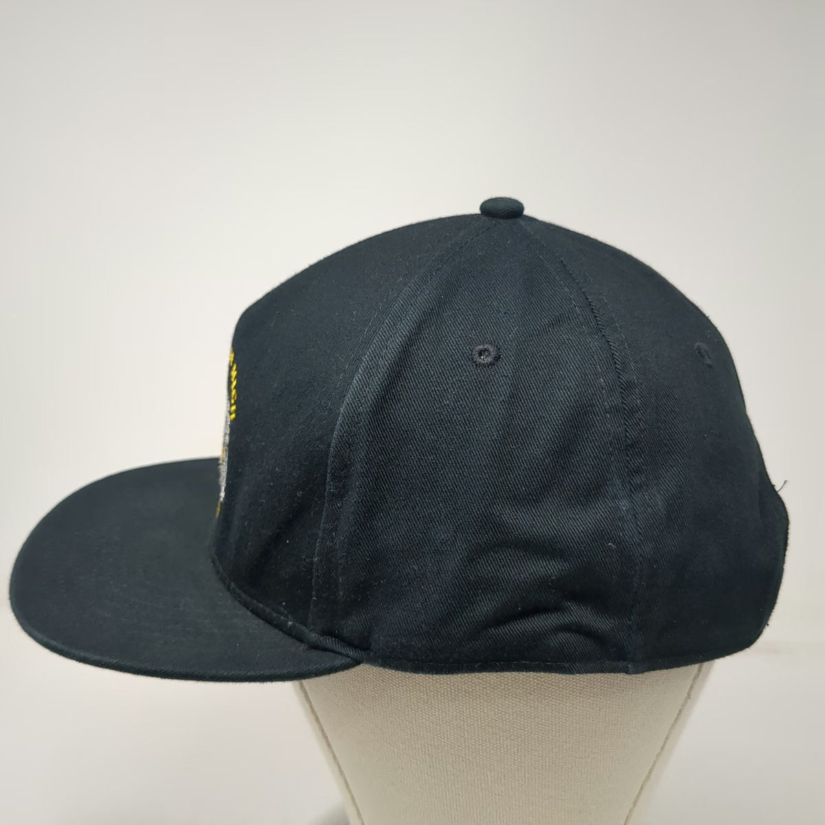 Vans 5 Panel Black Hat OS Snapback Lift Em High Drain Em Dry Skulls Graphic Logo