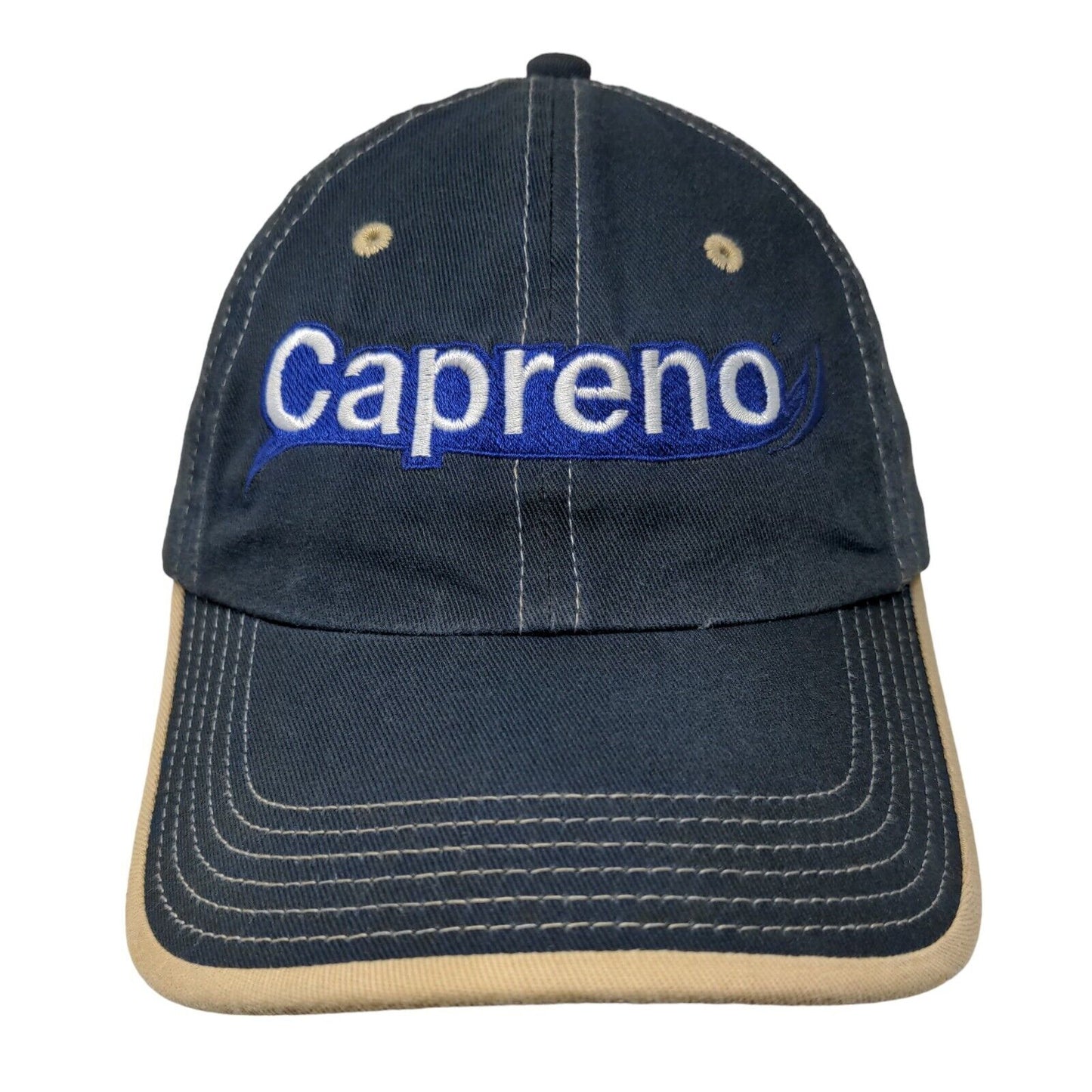 Capreno Northeast Agricultural Strapback Hat Blue OSFA Adjustable Port Authority