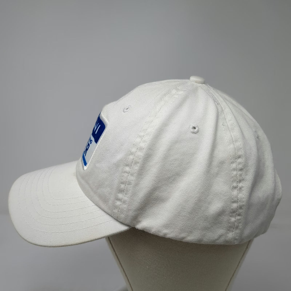 Dasani Mouthwatering Summer White Baseball Cap One Size Slideback Patch Hat