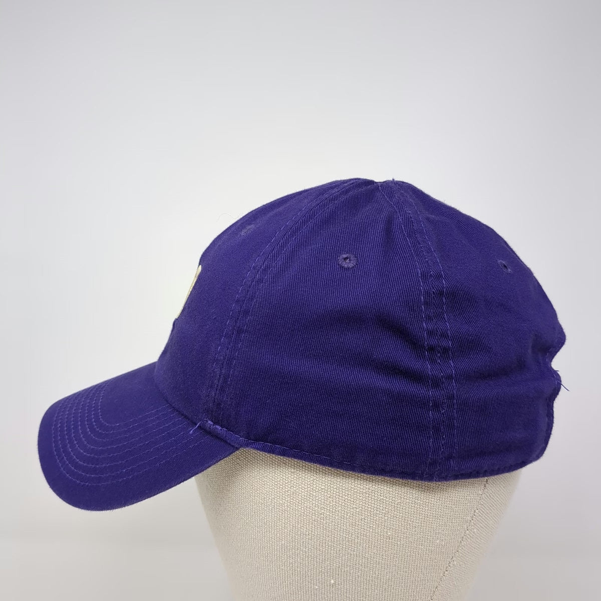 Nike Washington Huskies NCAA Purple Cap One Size Embroidered Logo Strapback Hat