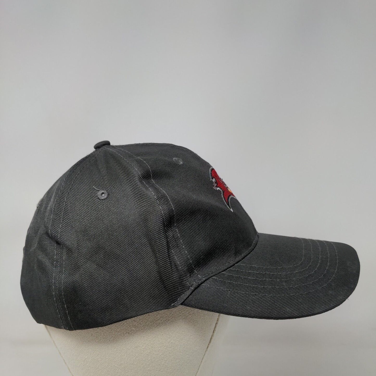 Tampa Bay Buccaneers Strapback Hat Gray Embroidered Logo Raymond James