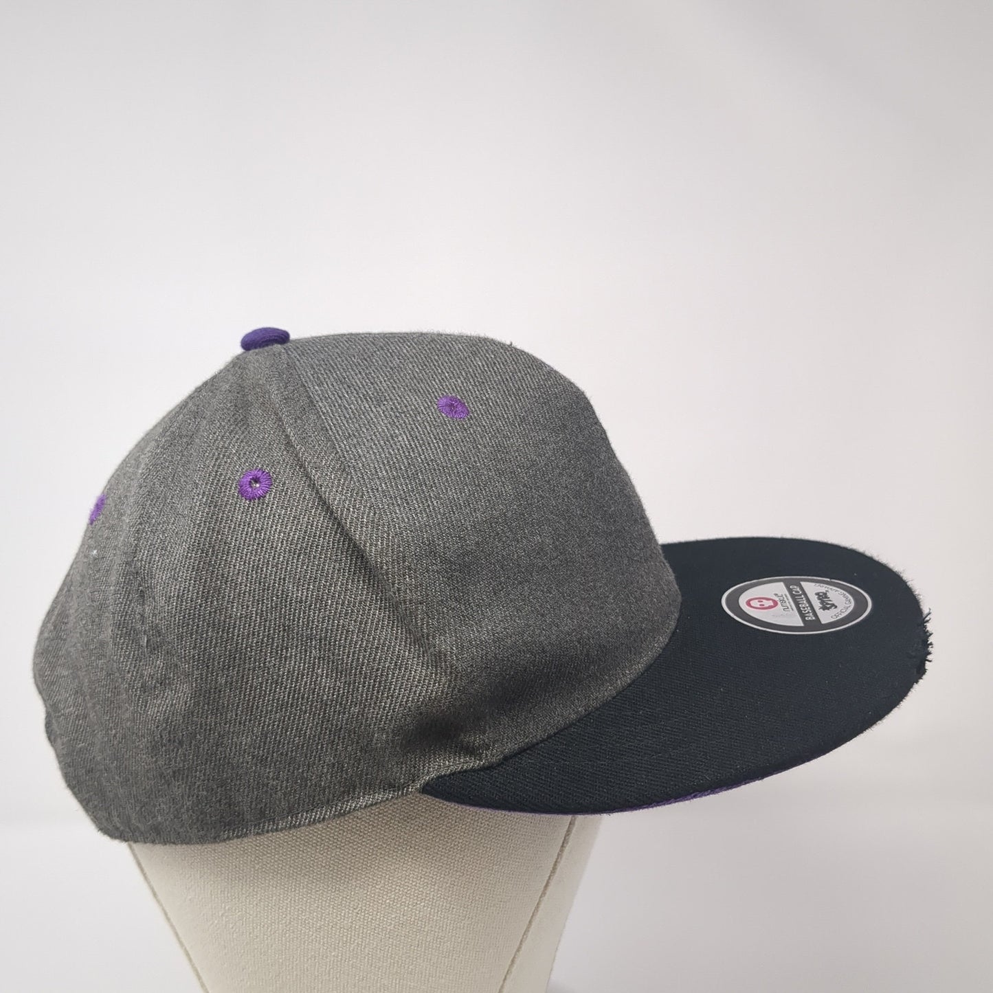 Spyro Purple Dragon Snapback Hat Gray One Size Adjustable Numskull