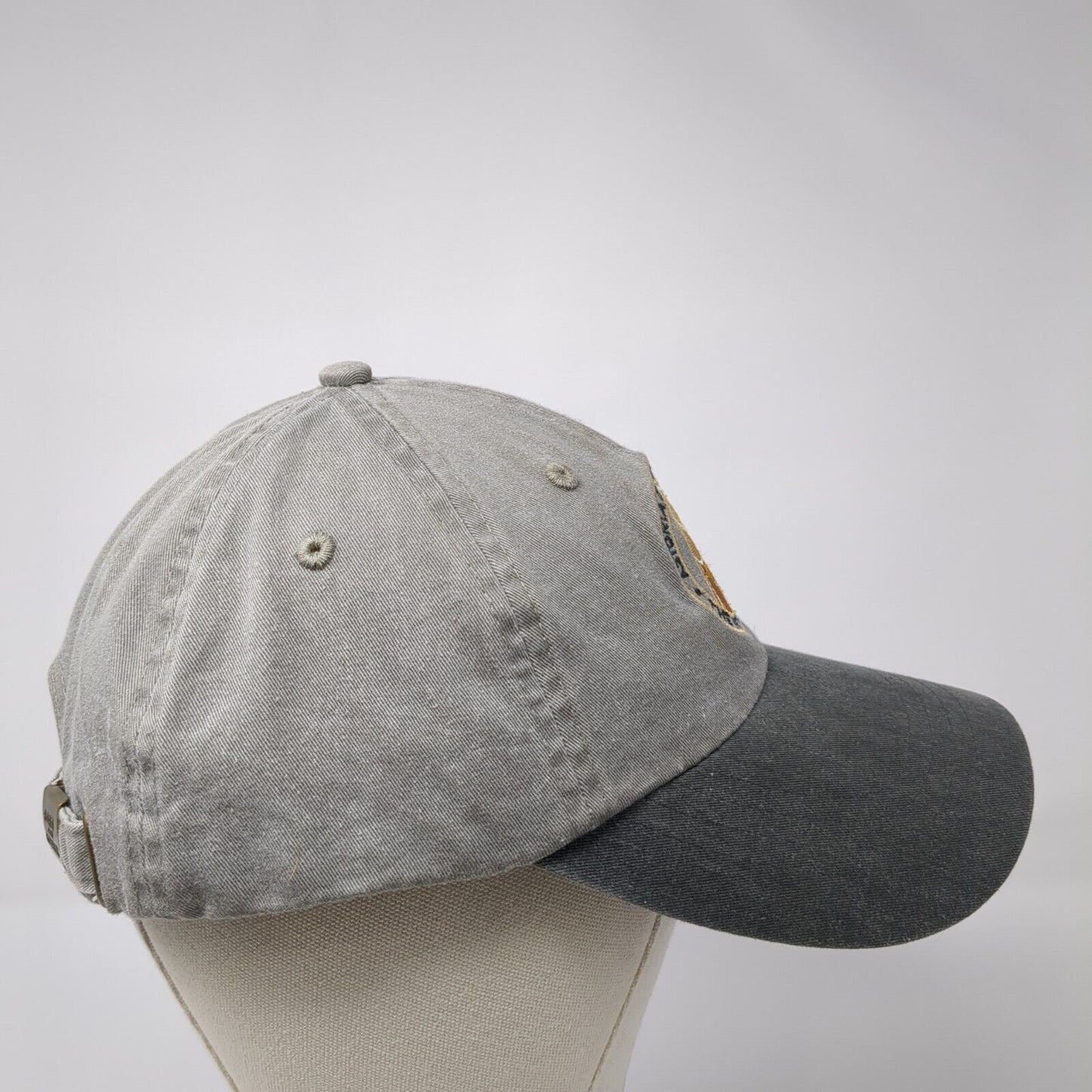 Astoria Brewing Company The Wet Dog Cafe Slideback Hat Gray OS Port & Company