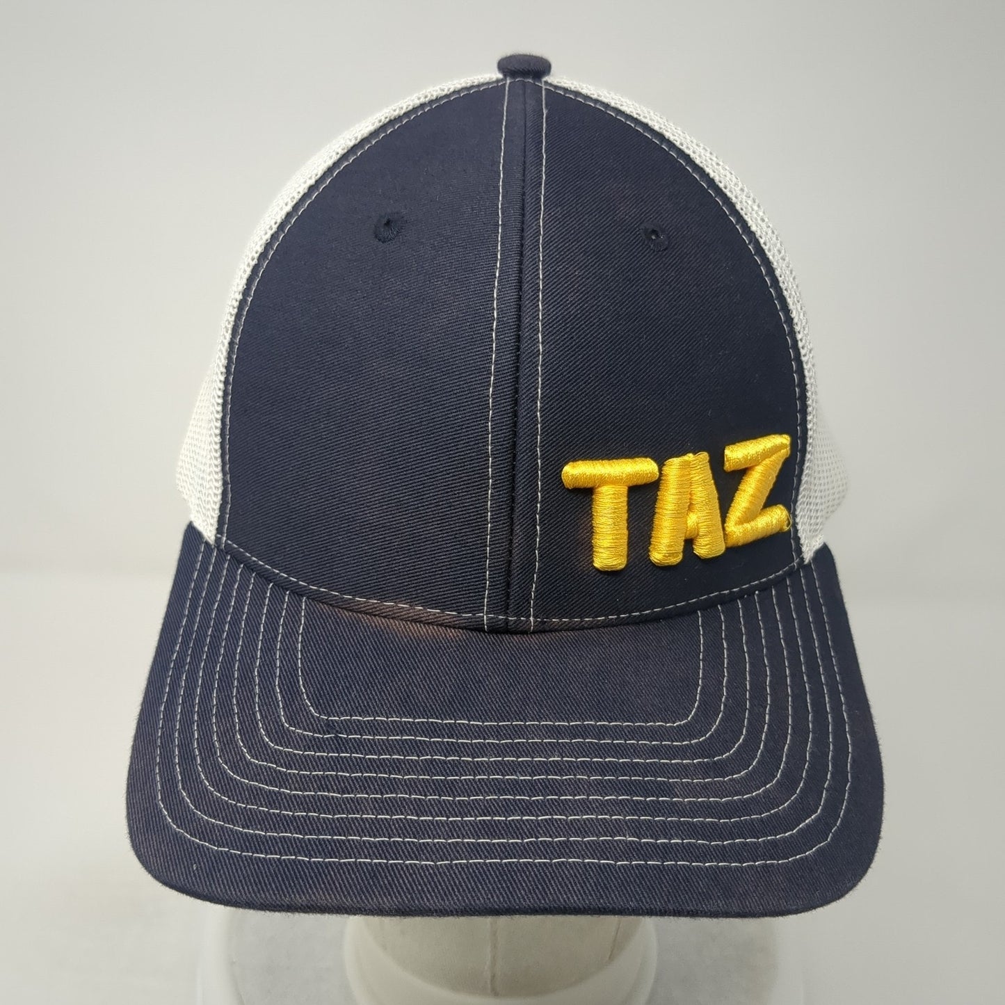 Taz Snapback Trucker Hat Blue OS Adjustable Embroidered Mesh Back Richardson