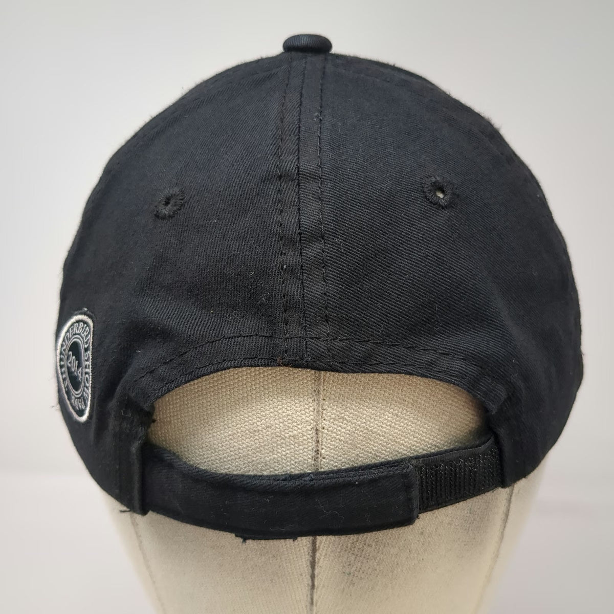 Thunderbird Show Park 2014 Equestrian Baseball Cap Black One Size Graphic Hat