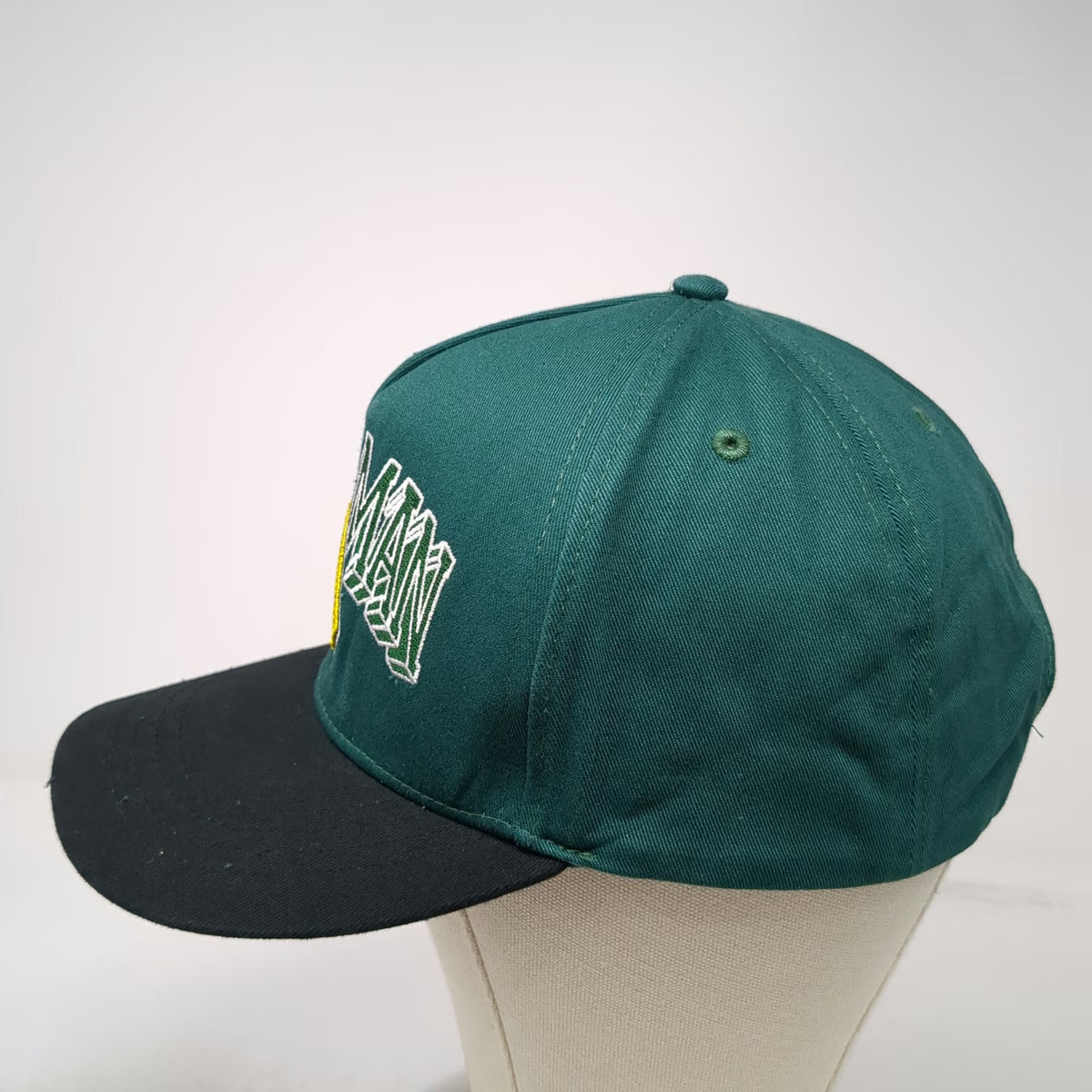Six Flags Aquaman 5 Panel Hat Green Black One Size Snapback Cotton DC Comics