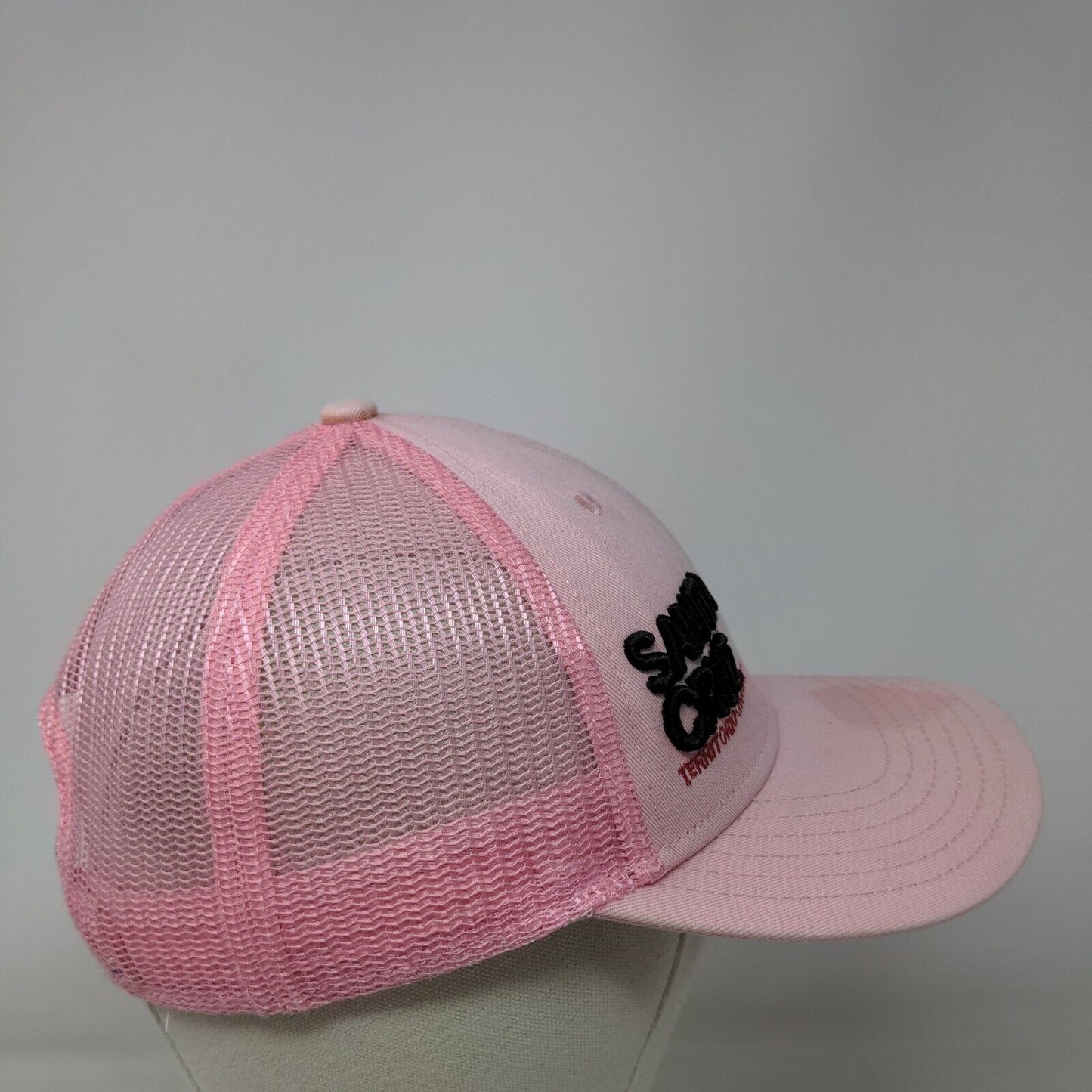 Santa Cruz Territorio-Crossfit Snapback Trucker Hat Pink 56cm 6 Panel