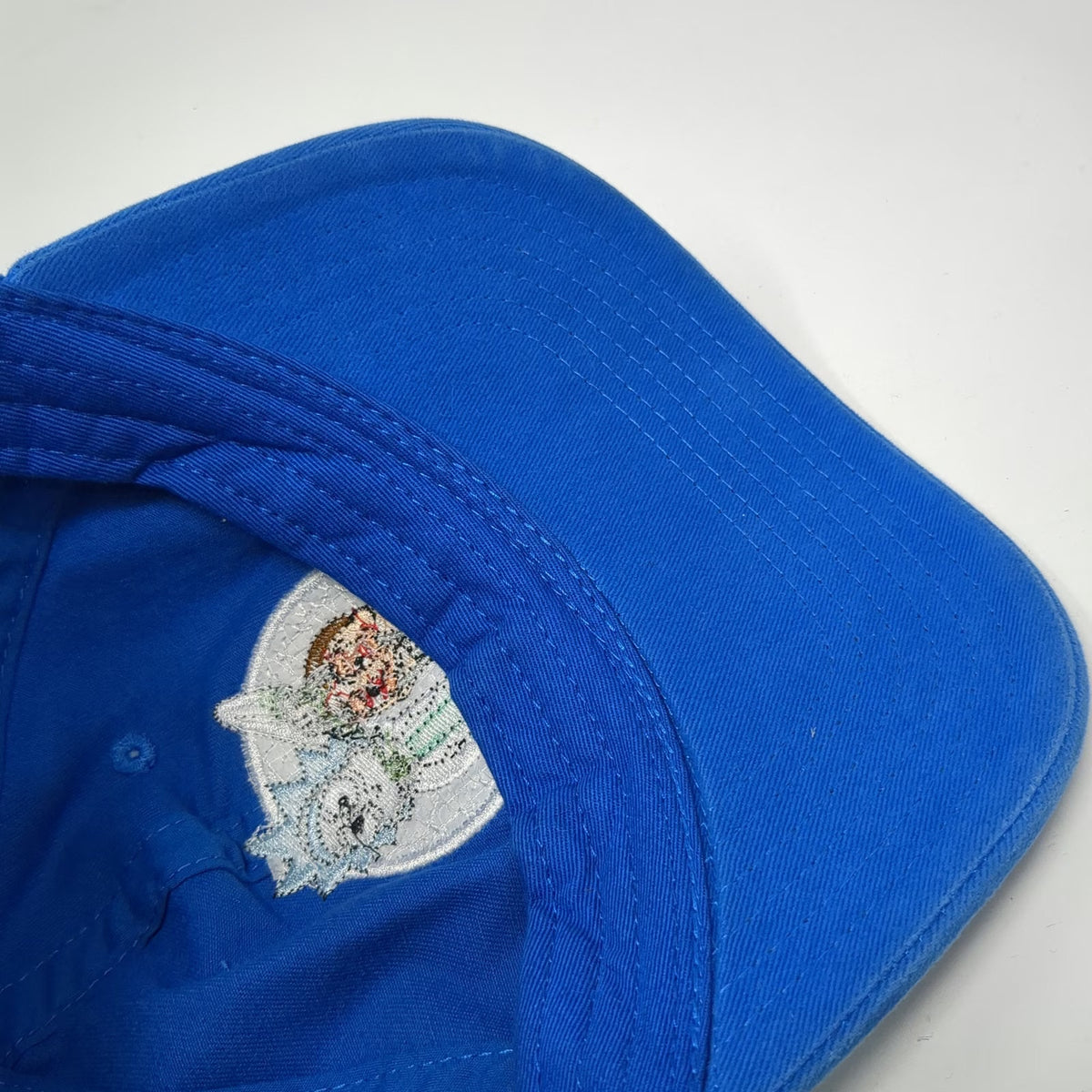 Rick and Morty Baseball Cap Blue One Size Adult Swim Graphic Slideback Hat