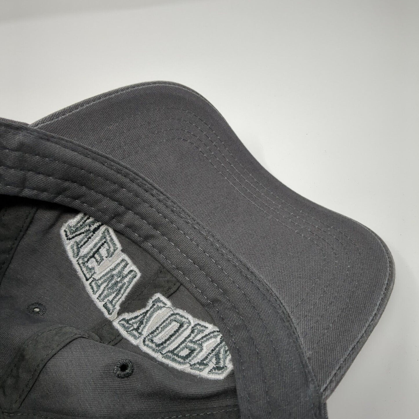 New York Est. 1664 Strapback Hat Gray One Size Adjustable Torkia Apparel