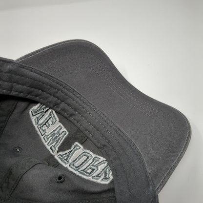 New York Est. 1664 Strapback Hat Gray One Size Adjustable Torkia Apparel