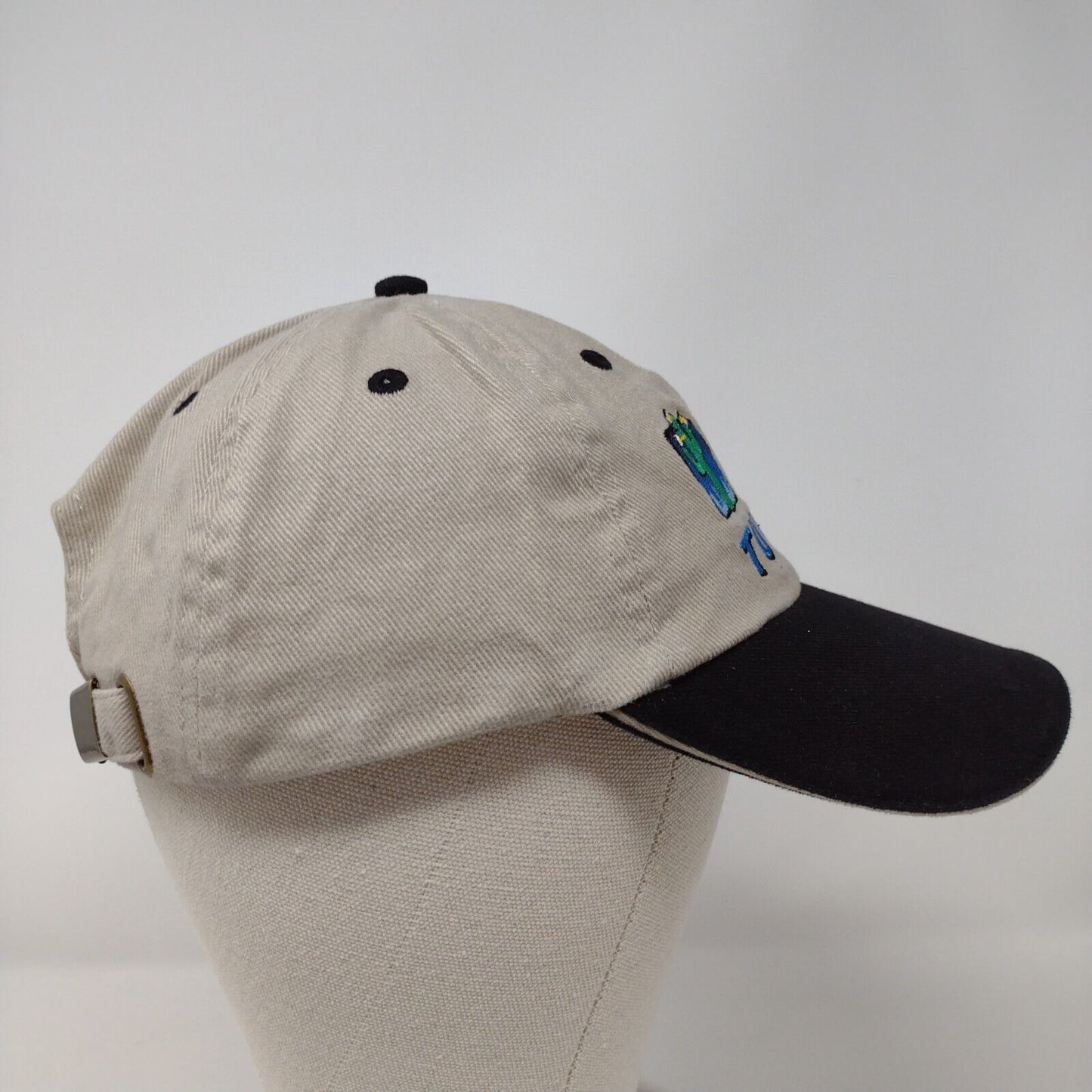 Cactus Tucson Slideback Hat Multi OSFM Embroidered Colorblock 6 Panel