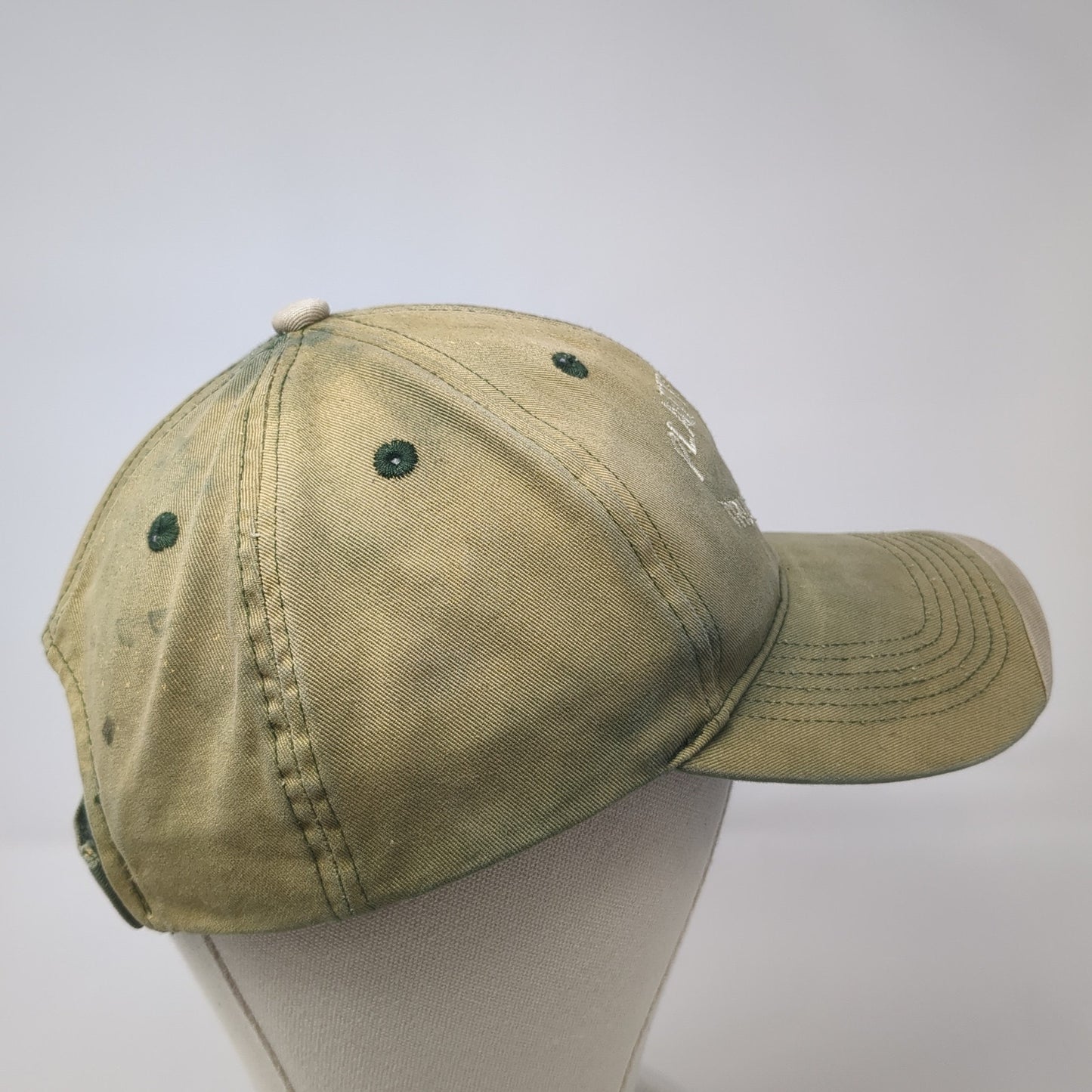 Platte Valley Trucking Services Strapback Hat Green One Size Daystone