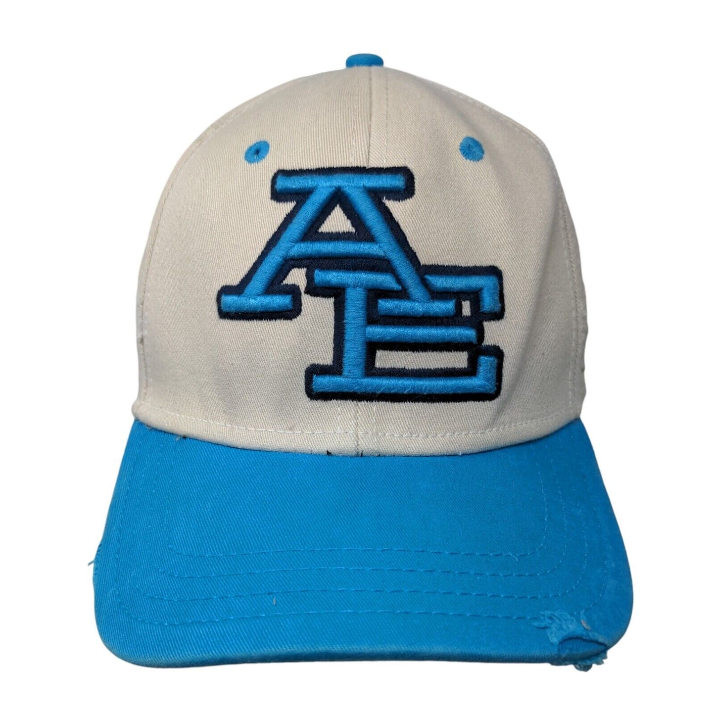American Eagle Outfitters Fitted Hat Multicolor L/XL Embroidered 6 Panel