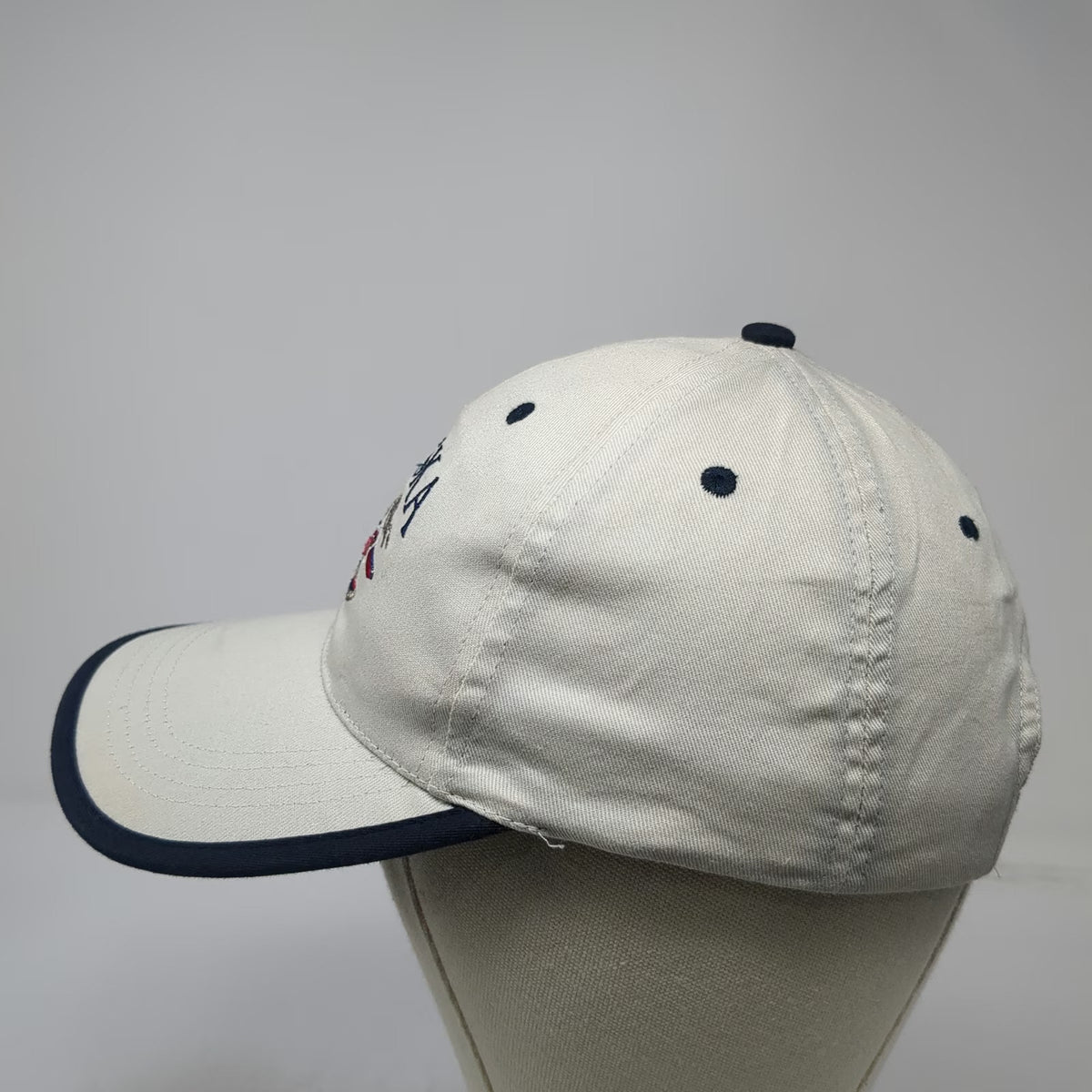 Tongass Alaska Seaplane Mountain Hat Beige Blue One Size Snapback Baseball Cap