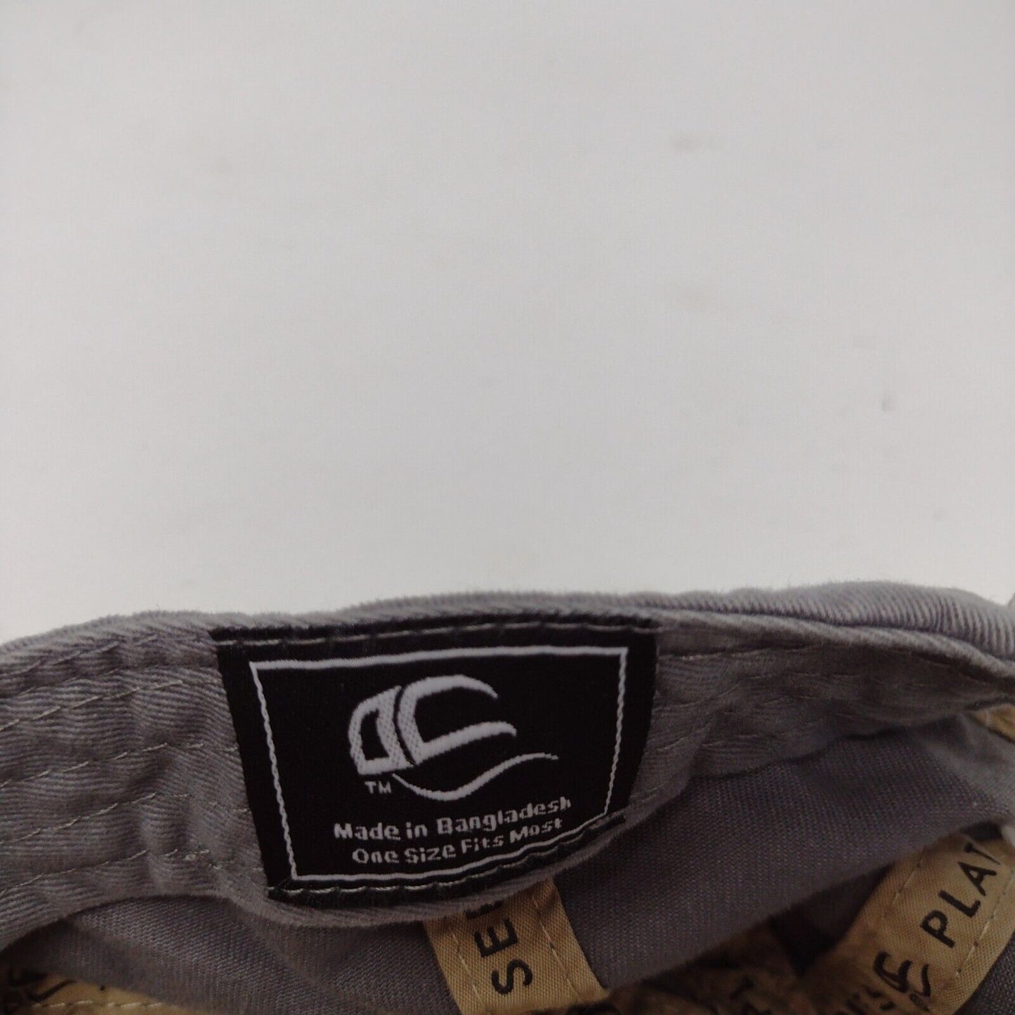 Boise Juice Co Slideback Hat Gray OSFM Embroidered Leather Strap