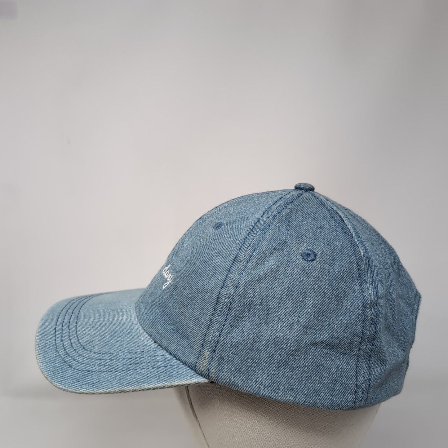 Bad Hair Day Strapback Hat Blue OSFM Adjustable Embroidered David and Young