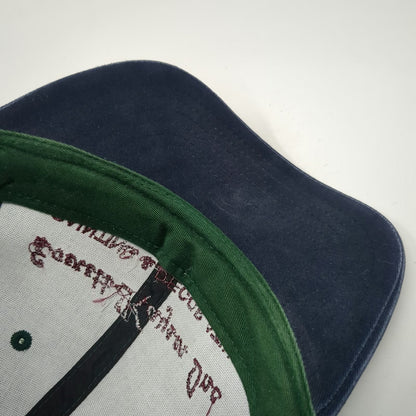 Pacific Headwear Baseball Cap Green Blue One Size Strapback Painter Logo Hat