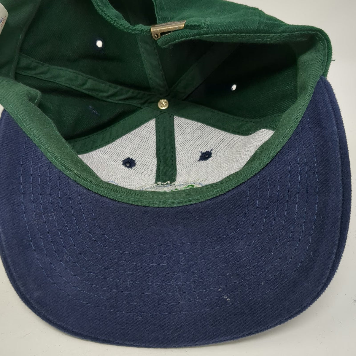 Otto Baseball Cap Green Blue OSFM Tillamook Public Power People's Utility hat