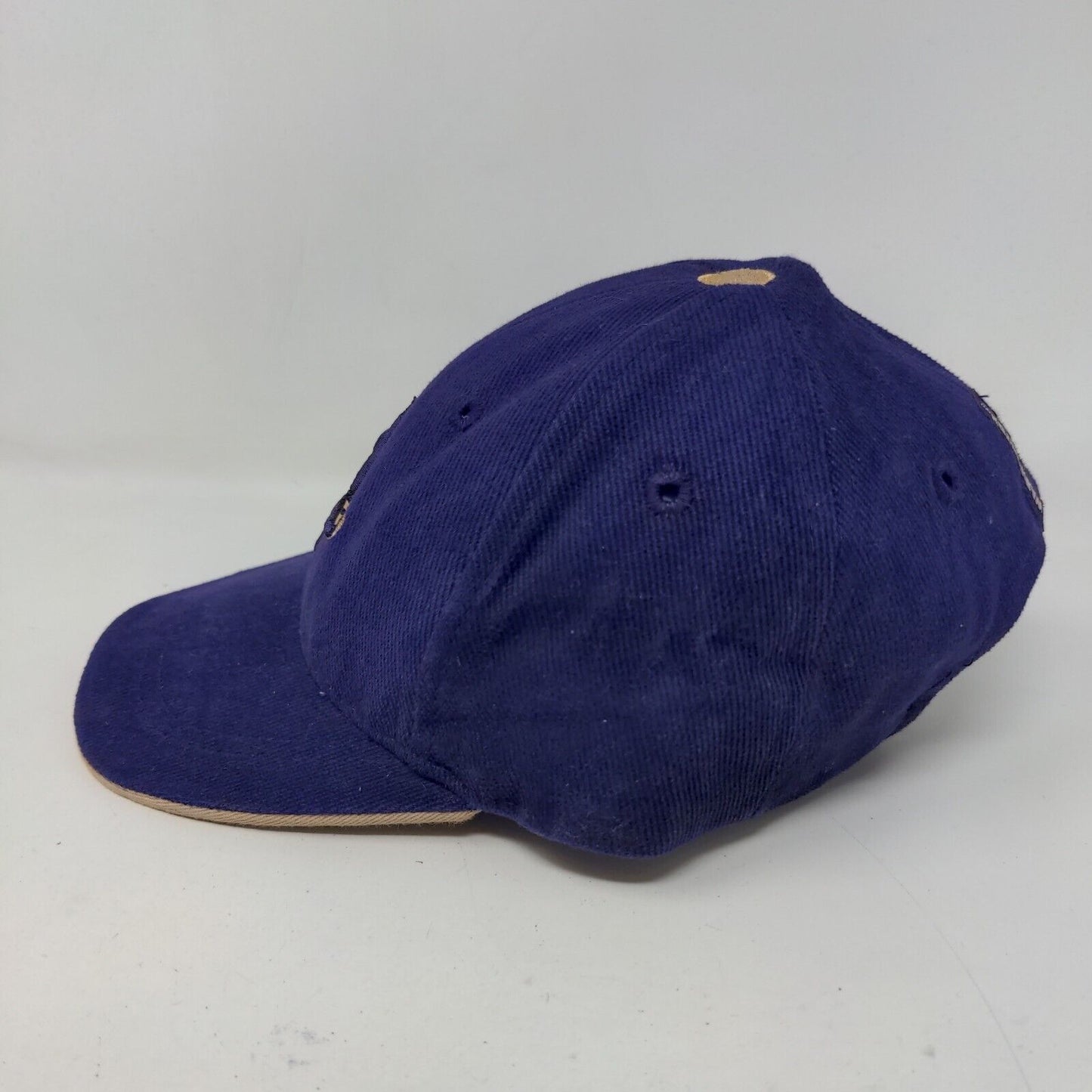 Colosseum Baby Stretchy Hat Purple Embroidered Logo Washington Huskies