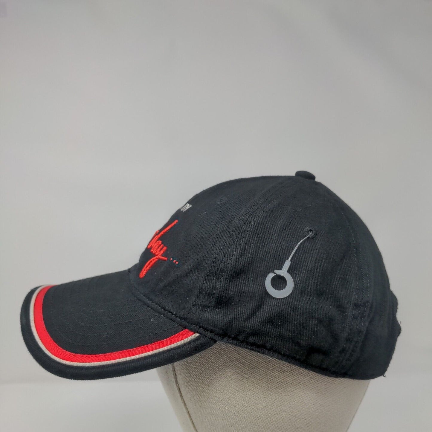 Celine Dion A New Day Strapback Hat Black OSFA Adjustable Embroidered