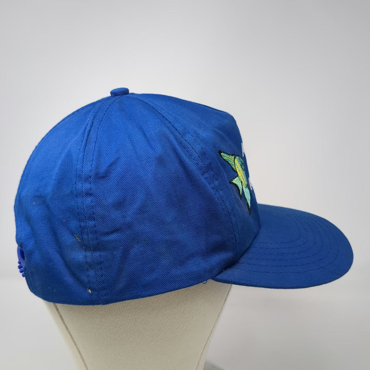 J Hats Aquarium of the Americas Hat Blue One Size 5 Panel Snapback Cotton Fish