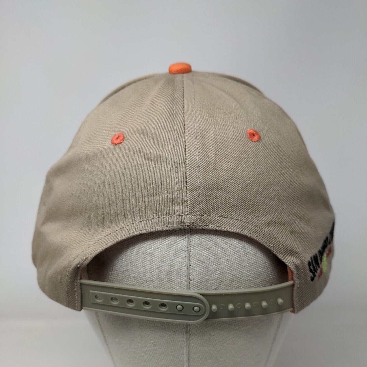 San Diego Zoo Colorful Lion Snapback Hat Tan One Size Embroidered