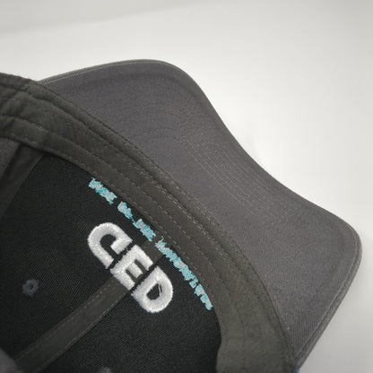 GED Rise of The Innovators Gray One Size Adjustable Embroidered 6 Panel Intuit