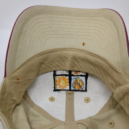 Beige Baseball Cap One Size New Mexico Kokopelli Balloon Cactus Embroidered Hat