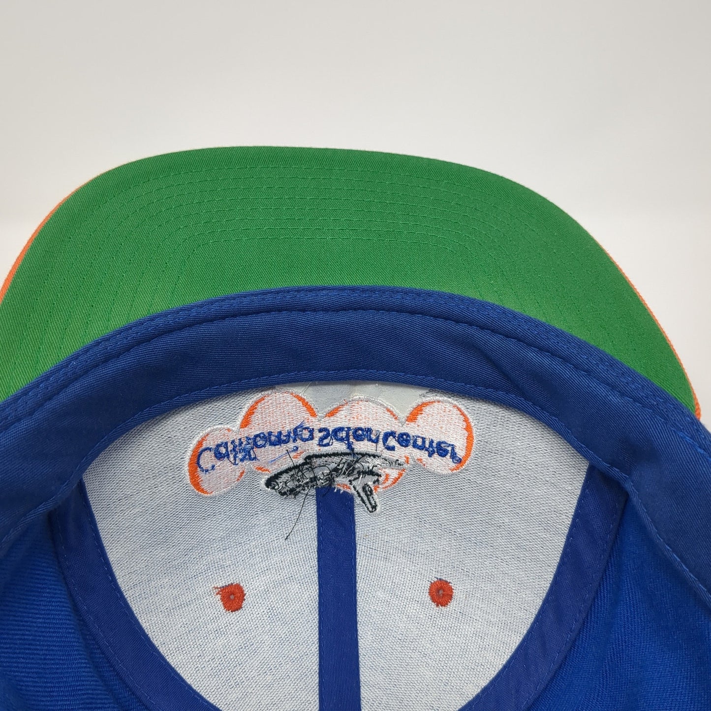 Californai Scien Center Samuel Oschin Air and Space Center Snapback Hat Multi OS