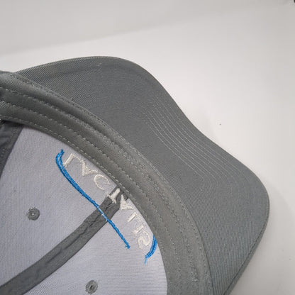 Lactalis Snapback Trucker Hat Gray One Size Adjustable Mesh Back Port Authority