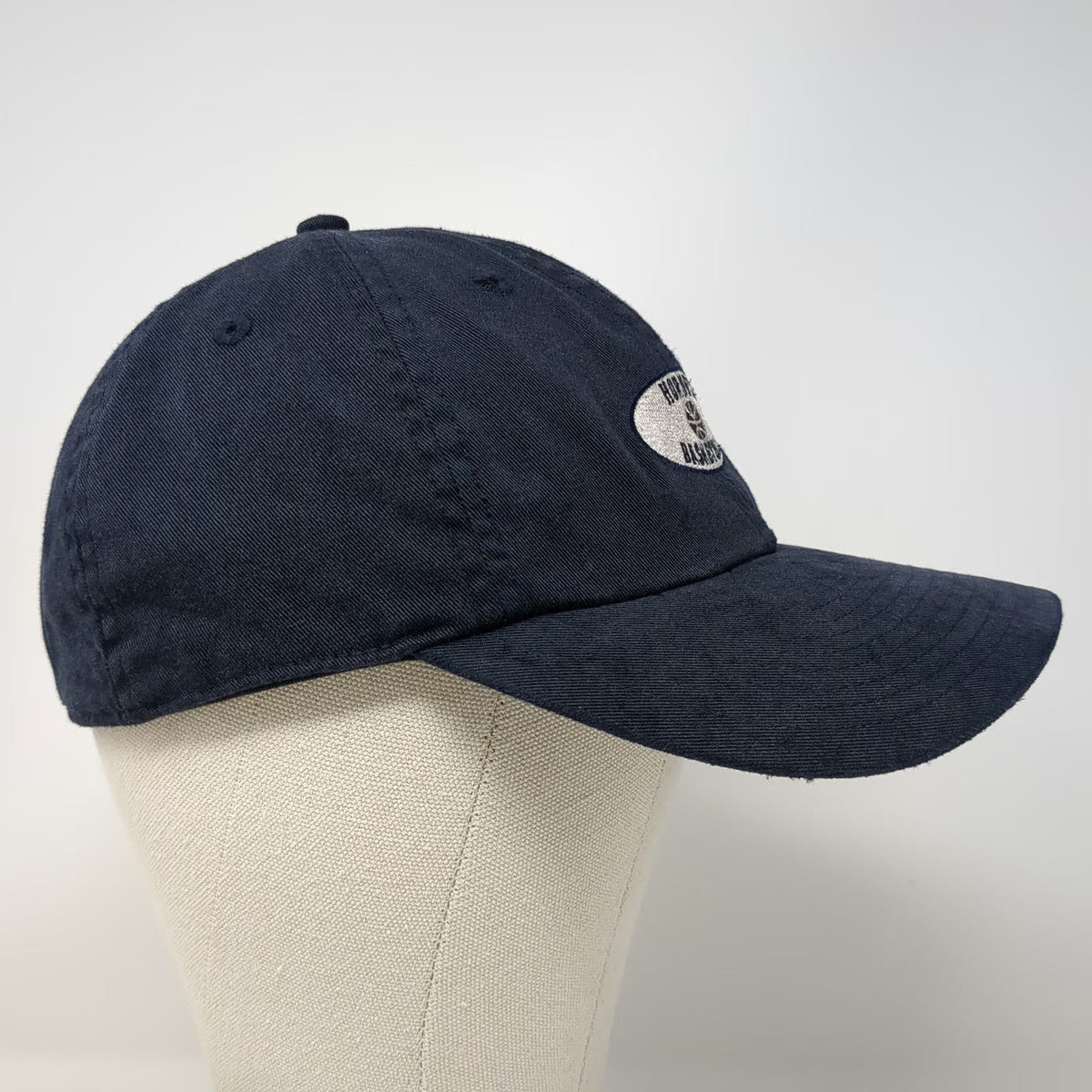 HYP Hornets Basketball Blue One Size Baseball Cap Carolinas HealthCare Hat