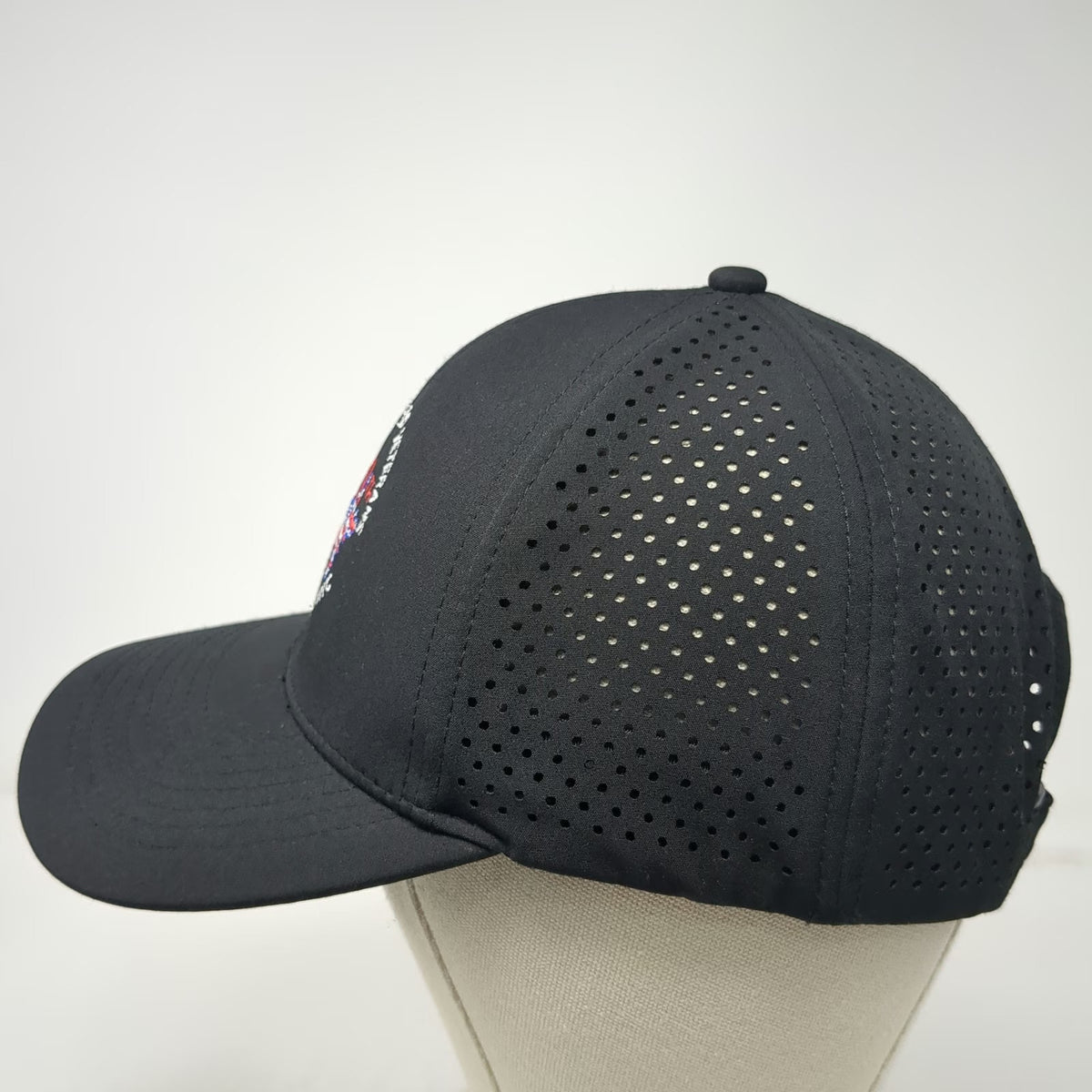 National Disabled Veterans Winter Sports Clinic Black One Size Baseball Cap Hat