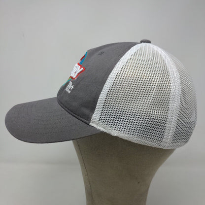 Cap America Men's Strapback Mesh Back Hat Gray White Hoosier Lottery Embroidered