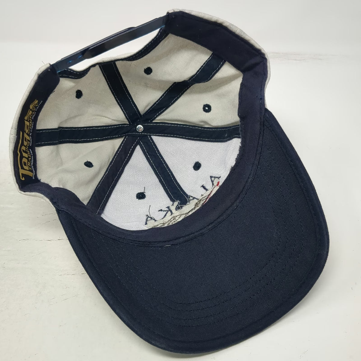 Tongass Alaska Seaplane Mountain Hat Beige Blue One Size Snapback Baseball Cap