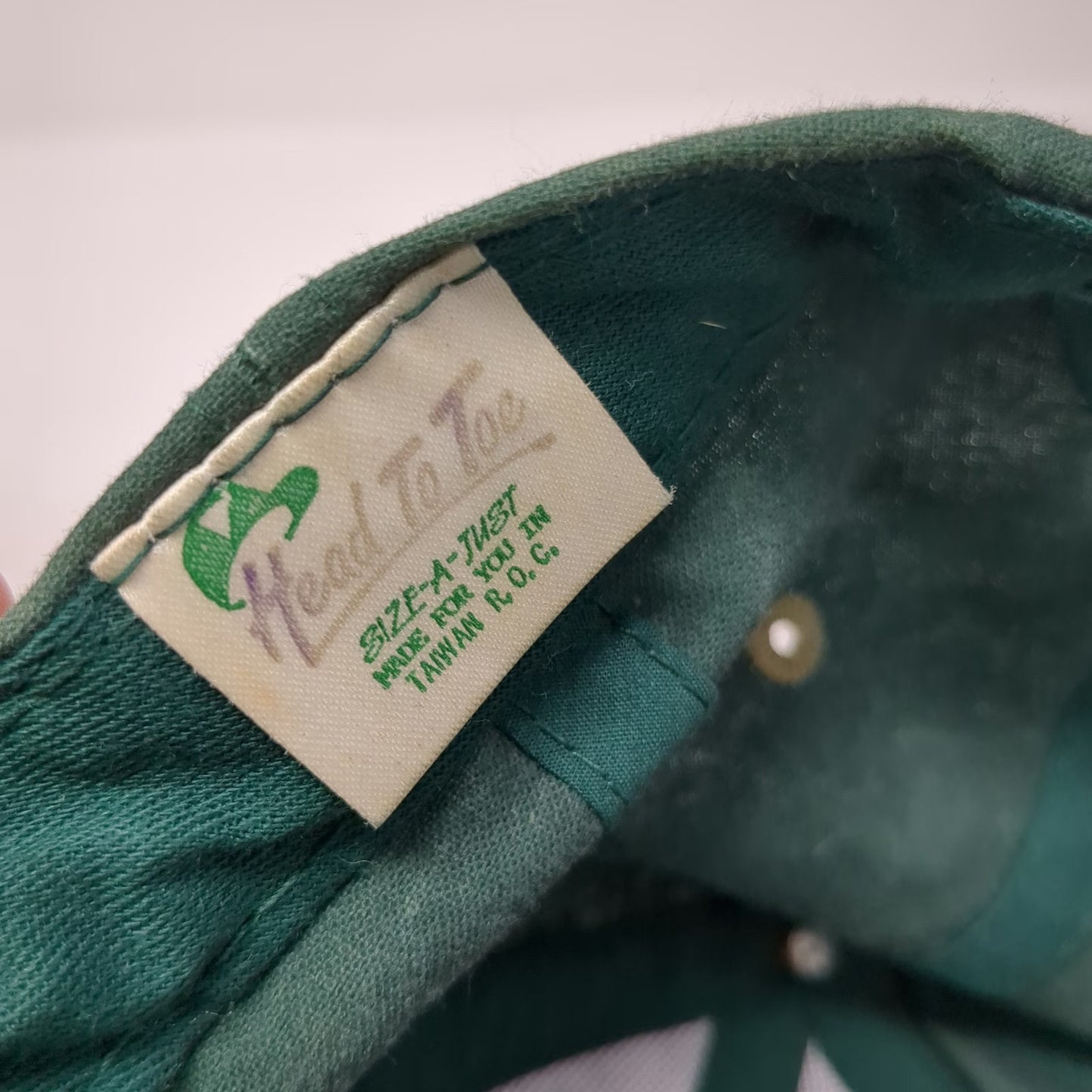 Head To Toe Snapback Green Beige Embroidered Salmon Fish Nappo Hat Vintage