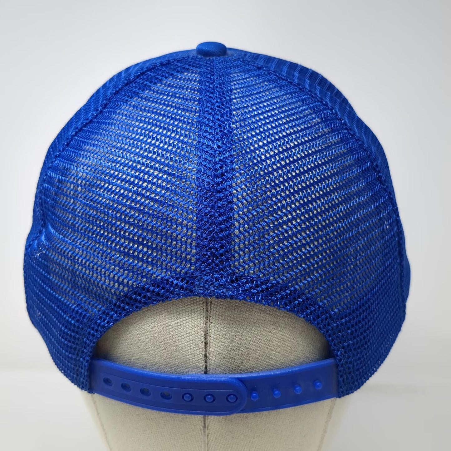 The Sportsman Trucker Hat Blue One Size US Forest Service PNW Fish Snapback Mesh