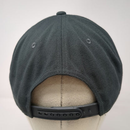 Nike Snapback Hat Gray One Size Baseball Home Plate Logo Swoosh Pro Sportswear