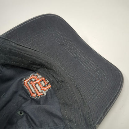 Nike Baseball Cap Gray One Size San Francisco Giants 2010 World Series MLB Hat