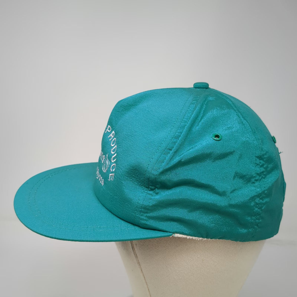 De Bruyn Produce Onions Hat Trucker Blue One Size Snapback Ontario Nyssa Satin