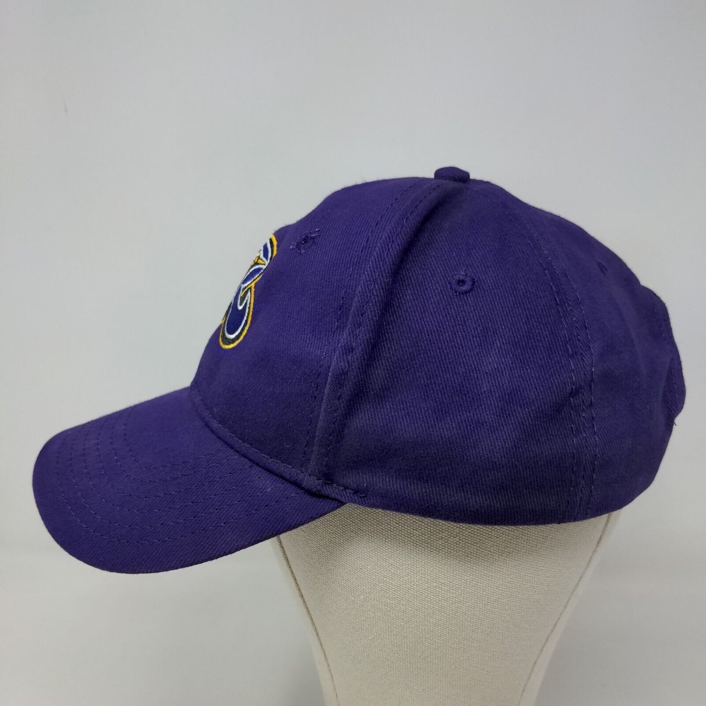 Otto Men's Strapback Hat Purple Size OSFM Embroidered R Bird Logo