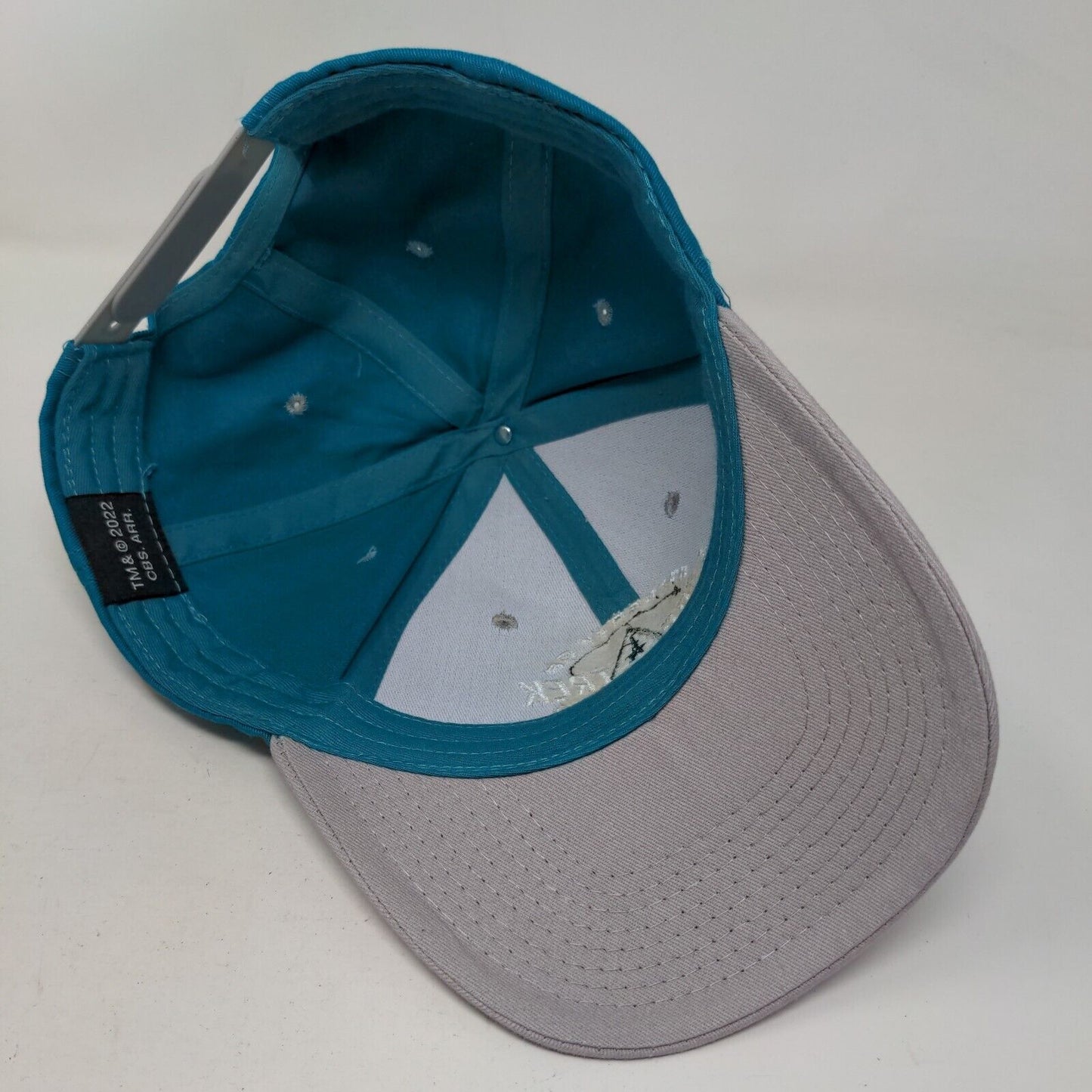 Star Trek The Cruise Snapback Hat Blue One Size Embroidered Colorblock