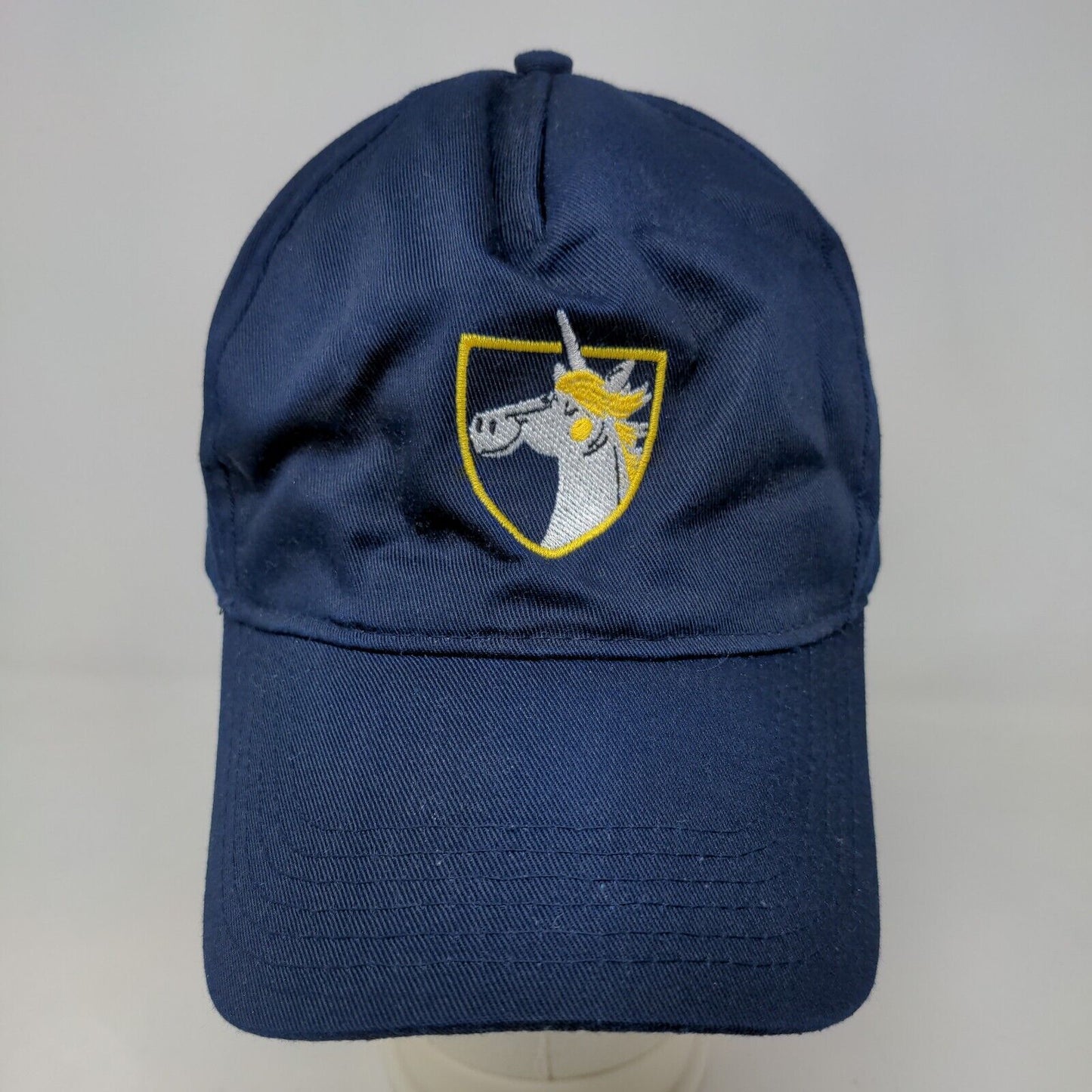 Democracy Prep Endurance School Men's Snapback Hat Blue Embroidered Logo